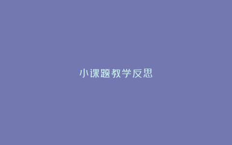 小课题教学反思