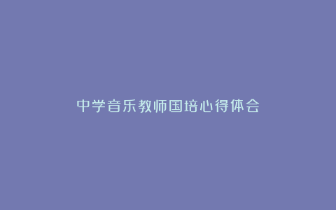 中学音乐教师国培心得体会