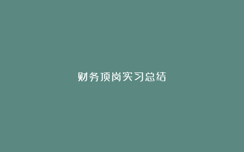 财务顶岗实习总结