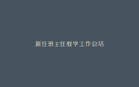 新任班主任教学工作总结