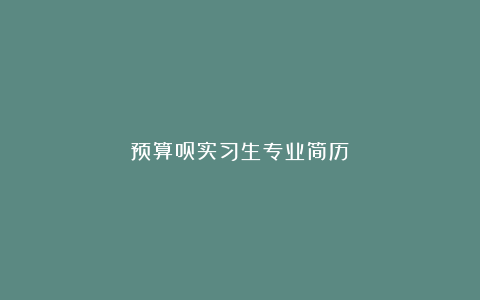 预算员实习生专业简历