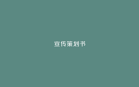 宣传策划书