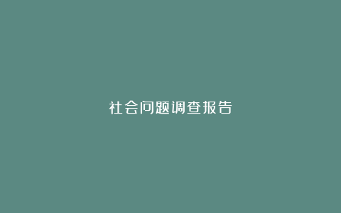 社会问题调查报告