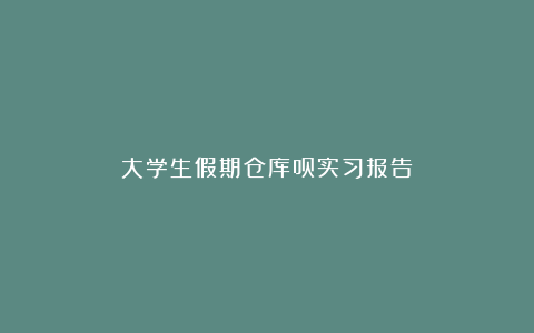 大学生假期仓库员实习报告