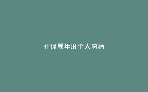 社保局年度个人总结