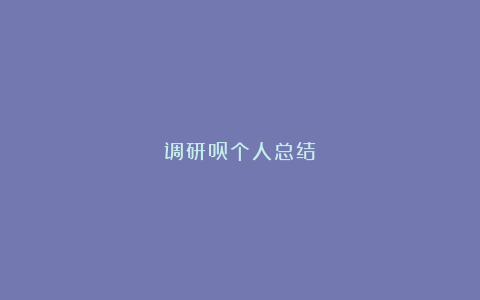 调研员个人总结