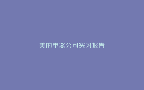 美的电器公司实习报告