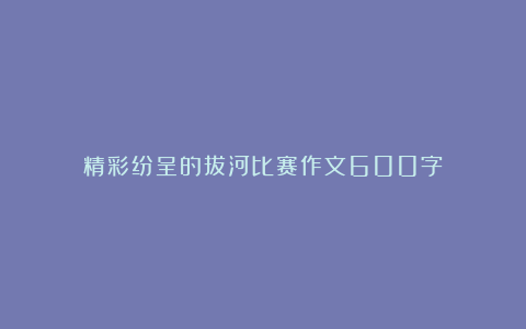 精彩纷呈的拔河比赛作文600字