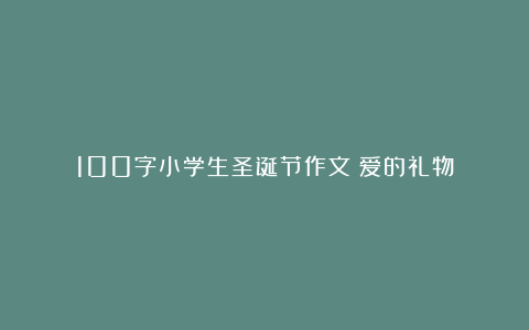 100字小学生圣诞节作文：爱的礼物