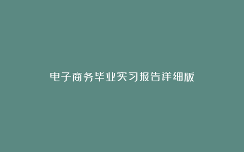 电子商务毕业实习报告详细版