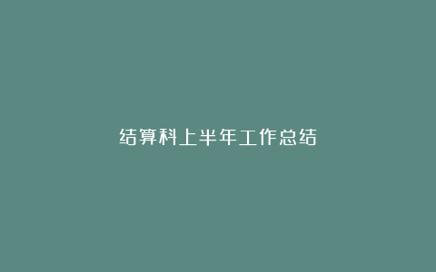 结算科上半年工作总结