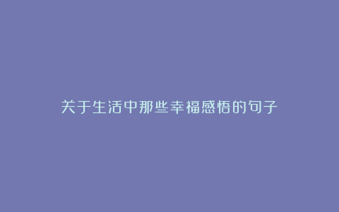 关于生活中那些幸福感悟的句子