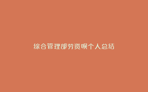 综合管理部劳资员个人总结