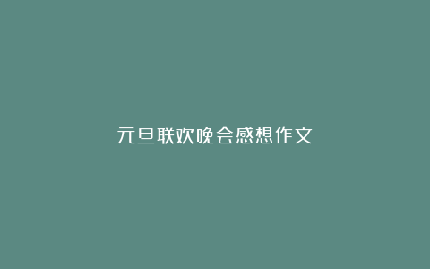 元旦联欢晚会感想作文