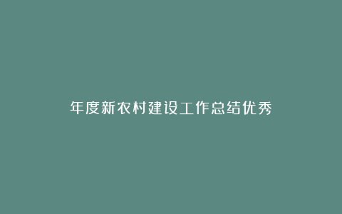 年度新农村建设工作总结优秀