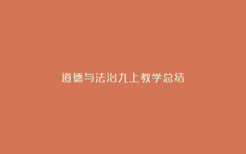 道德与法治九上教学总结