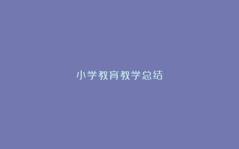 小学教育教学总结