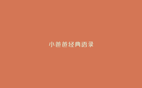 小爸爸经典语录