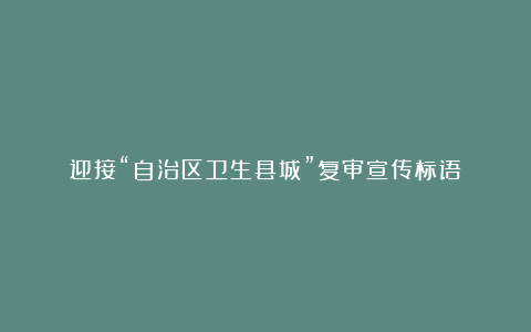 迎接“自治区卫生县城”复审宣传标语