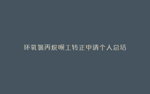 环氧氯丙烷员工转正申请个人总结