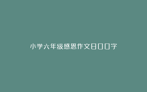 小学六年级感恩作文800字