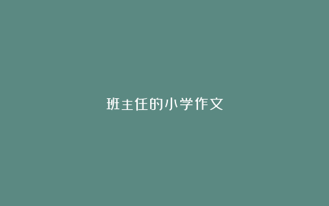 班主任的小学作文