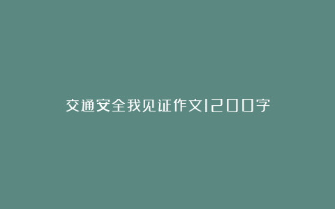 交通安全我见证作文1200字