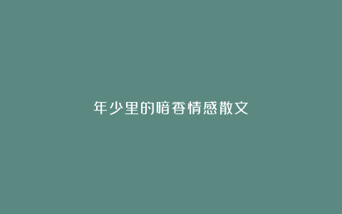 年少里的暗香情感散文