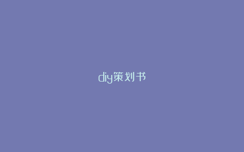 diy策划书