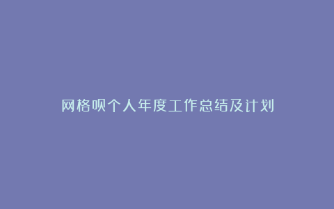 网格员个人年度工作总结及计划