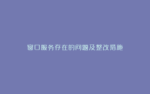 窗口服务存在的问题及整改措施