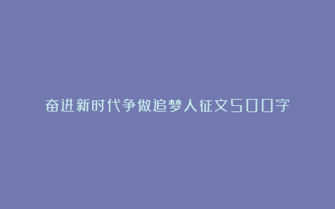 奋进新时代争做追梦人征文500字