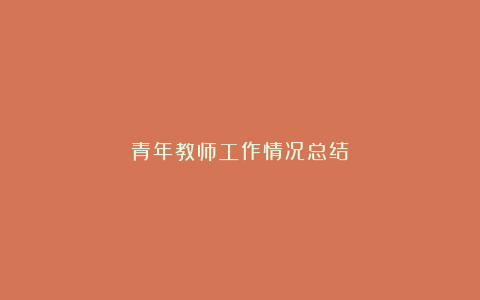 青年教师工作情况总结