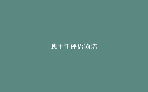 班主任评语简洁