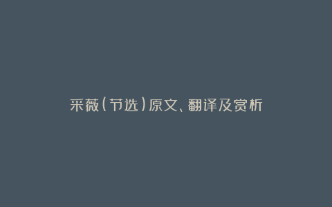 采薇(节选)原文、翻译及赏析