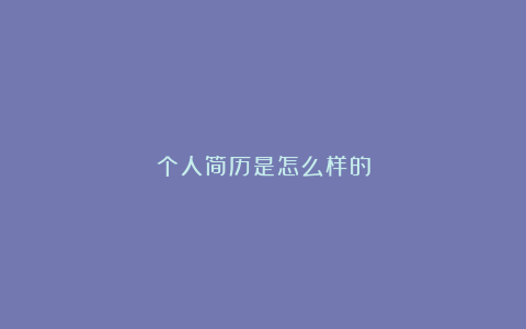 个人简历是怎么样的