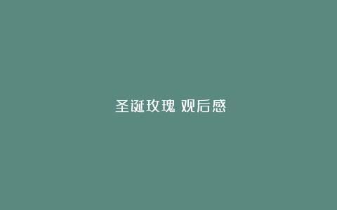 《圣诞玫瑰》观后感