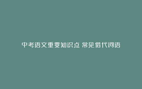 中考语文重要知识点：常见借代词语