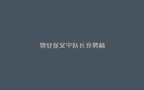 物业保安中队长竞聘稿