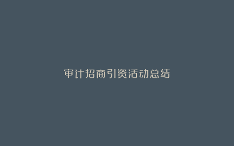 审计招商引资活动总结