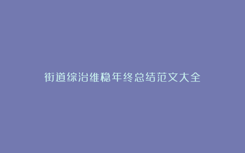 街道综治维稳年终总结范文大全