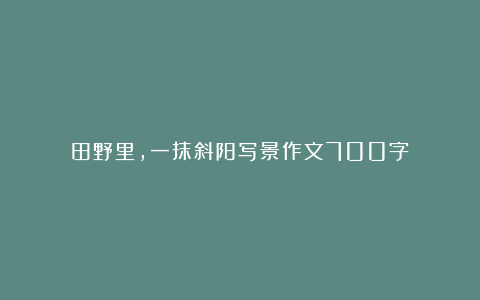 田野里,一抹斜阳写景作文700字