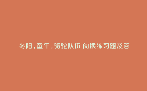 《冬阳，童年，骆驼队伍》阅读练习题及答案