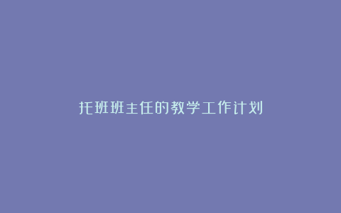 托班班主任的教学工作计划