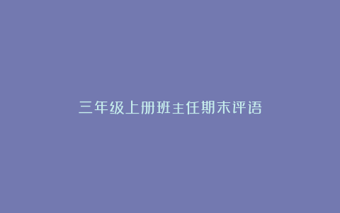 三年级上册班主任期末评语