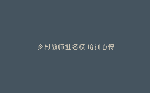 《乡村教师进名校》培训心得