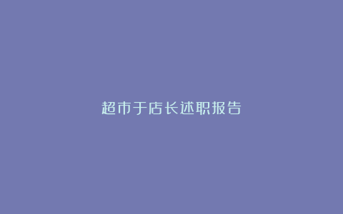 超市于店长述职报告