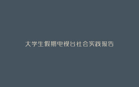 大学生假期电视台社会实践报告