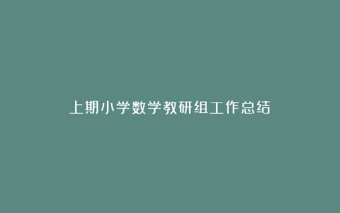 上期小学数学教研组工作总结