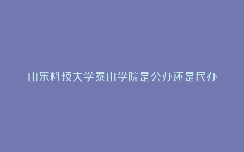 山东科技大学泰山学院是公办还是民办